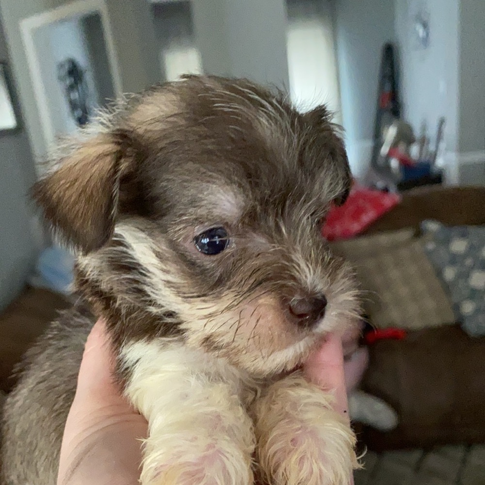 Meet your Posher, Jennifer